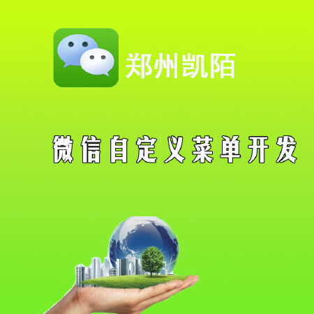 自定义菜单开发