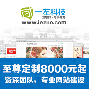 至尊定制网站8000元起/一左科技综合型网站建设