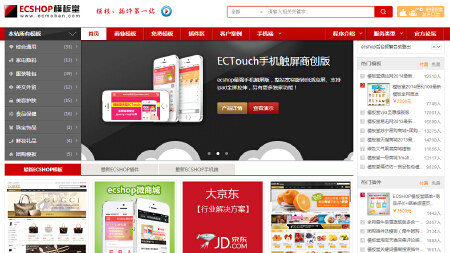 大型电子商务商城网站定制开发和维护