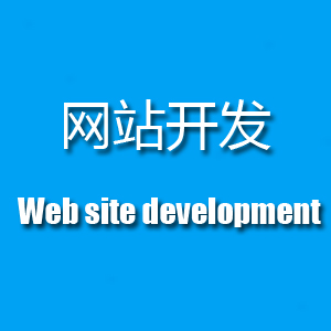 专业承接各类网站开发定制，配套金牌服务