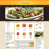 企业宣传型网站案例