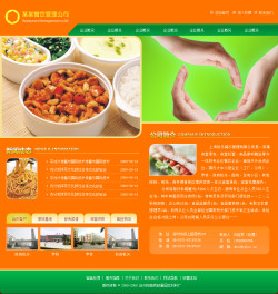 企业宣传型网站案例