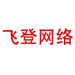 网站开发-飞登网络