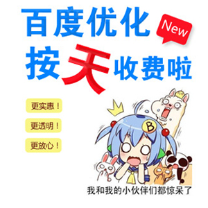 网站优化:关键词按天扣费