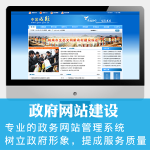 政府网站建设