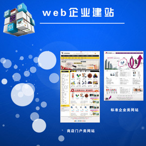 专业企业网站建设