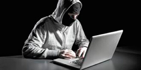 Windows平台 业务范围