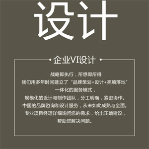企业VI设计
