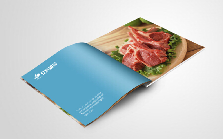 专业精致的画册