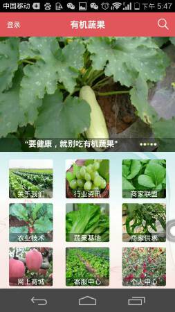 APP安卓系统+HTML5