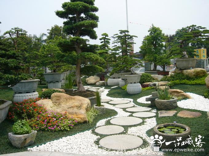 园林景观的美学原理之特制公园中的花草树木