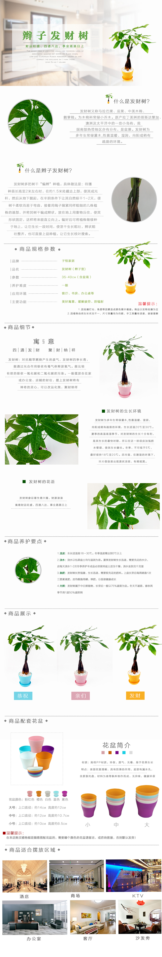 绿色植物详情