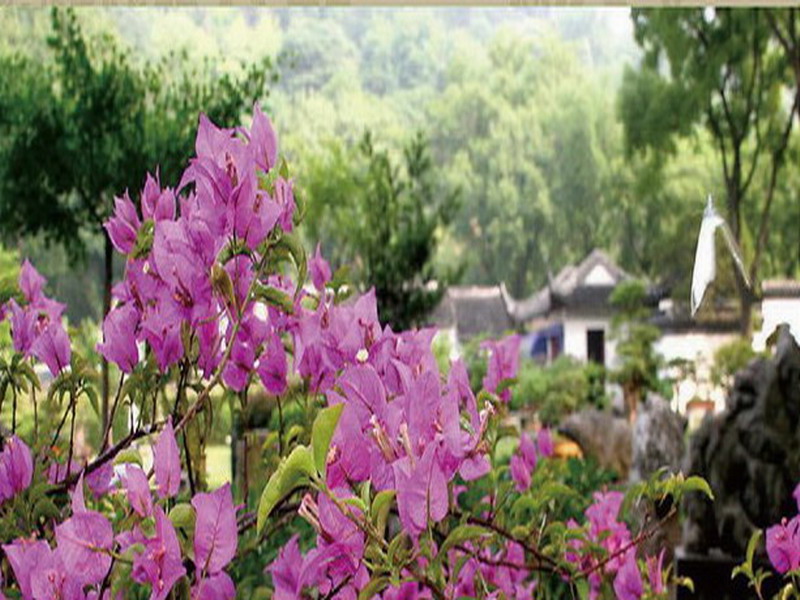 厦门春の美农庄