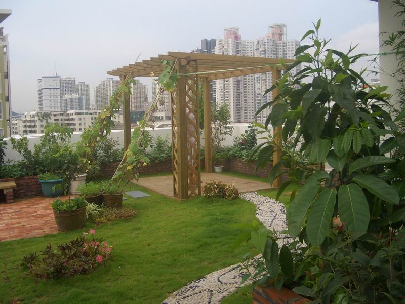 私家庭院景观设计