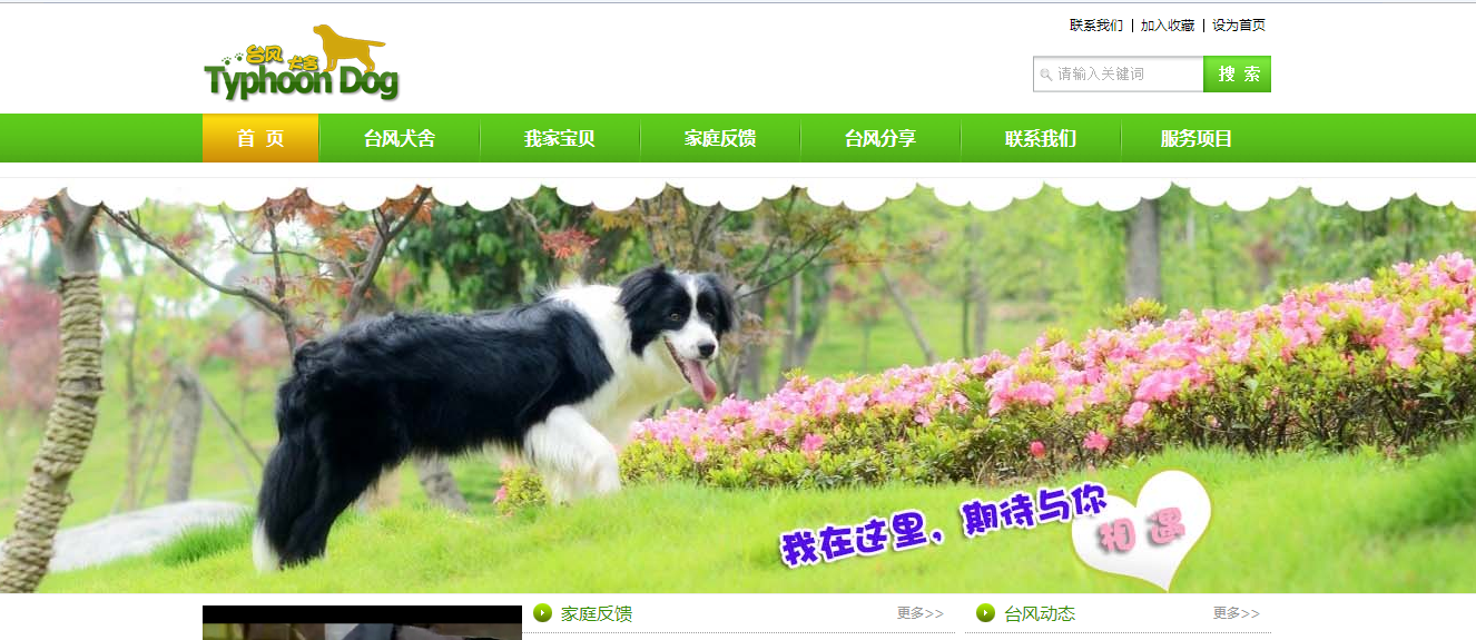 台风犬舍Typhoon Dog