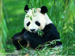 放心的服务质量和你全程相伴