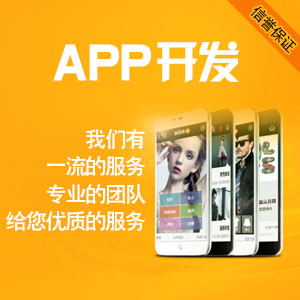 APP开发