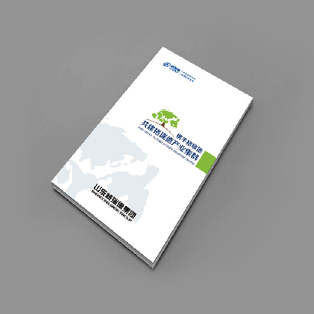 宣传册设计&画册设计&印刷品设计