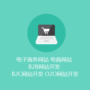 电子商务网站 电商网站 B2B网站开发 B2C网站开发 O2O网站开发
