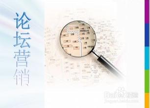 专业的论坛推广服务