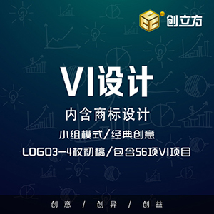 VI设计