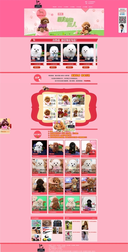 小布点泰迪培训中心