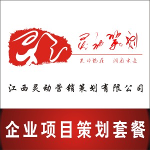 企业项目策划