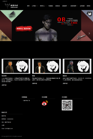 【专业】网站体现出公司的专业！