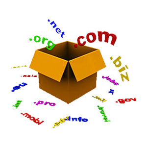 域名空间之服务器托管