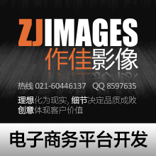 全渠道电子商务平台开发