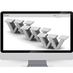 《品牌网站建设》