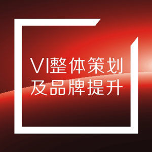 VI设计