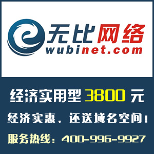 经济实用型3800元/无比网络专业网站开发