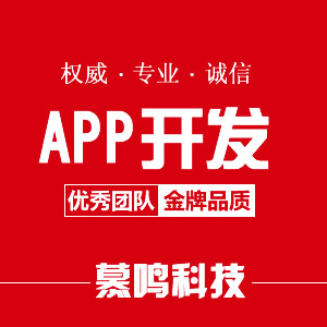 APP开发
