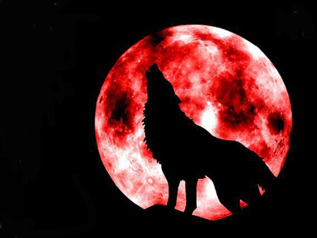 造型设计&结构设计