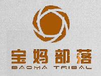 宝妈部落健康管理有限公司logo和VI设计