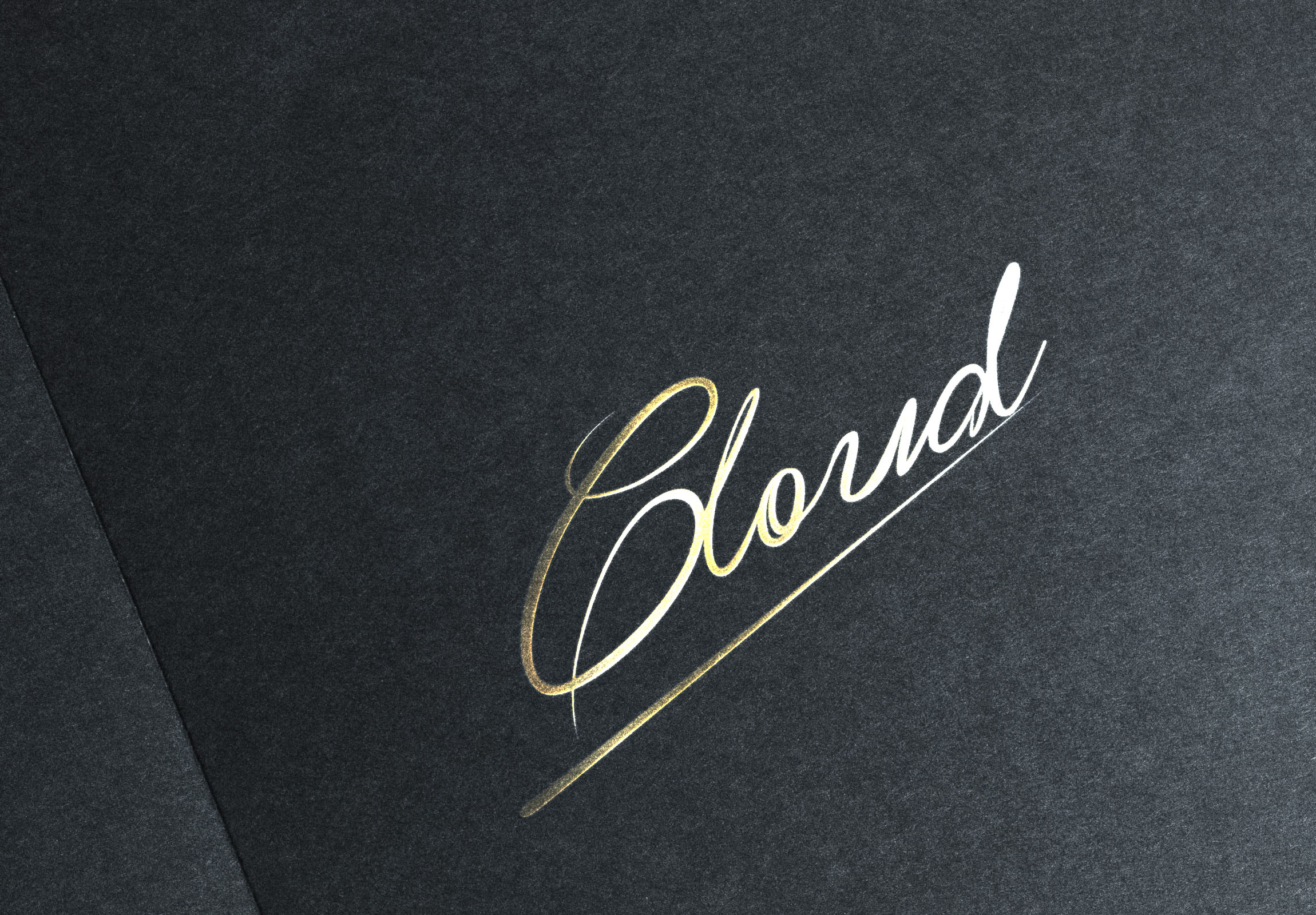 手绘一个英文单词【能力等级从高到低中标稿件】_字体设计_商标/vi