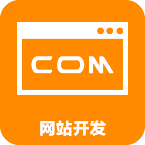 网站开发