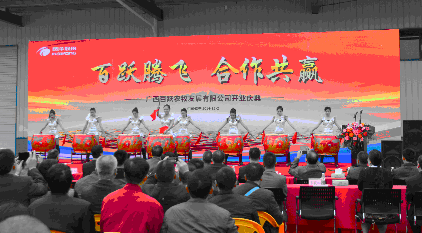 百跃公司开业庆典