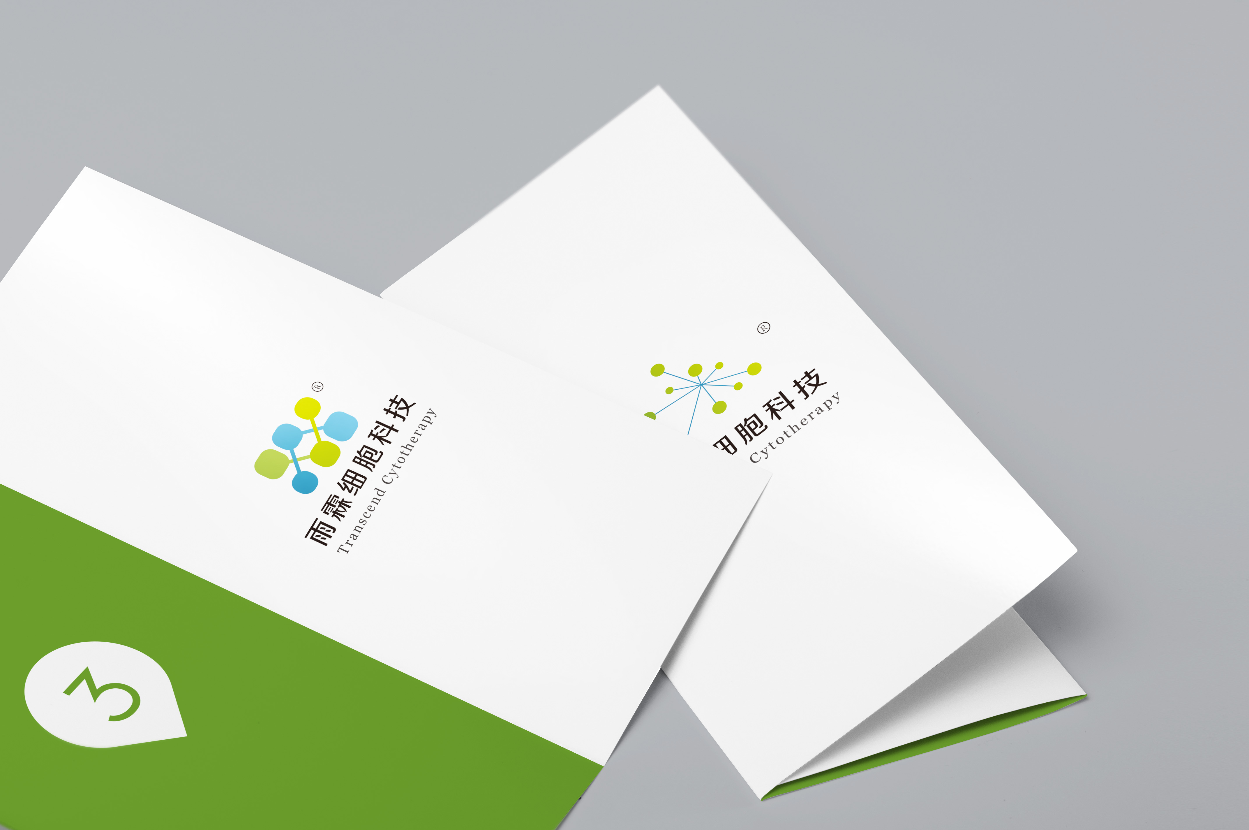 生物科技公司logo设计及简单应用【综合因素】_logo设计_商标/vi设计