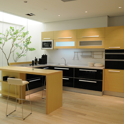 定制衣柜 橱柜 电视柜 护墙板 书柜 木门 吊顶设计