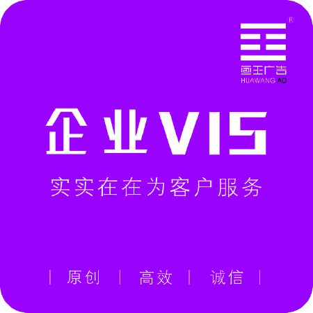 企业VIS