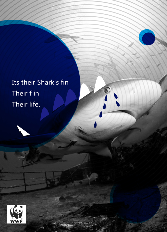 某市动物保护协会部分公益广告