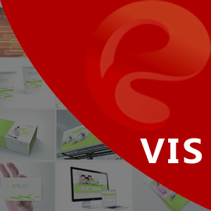 【经济套餐】高端VI设计