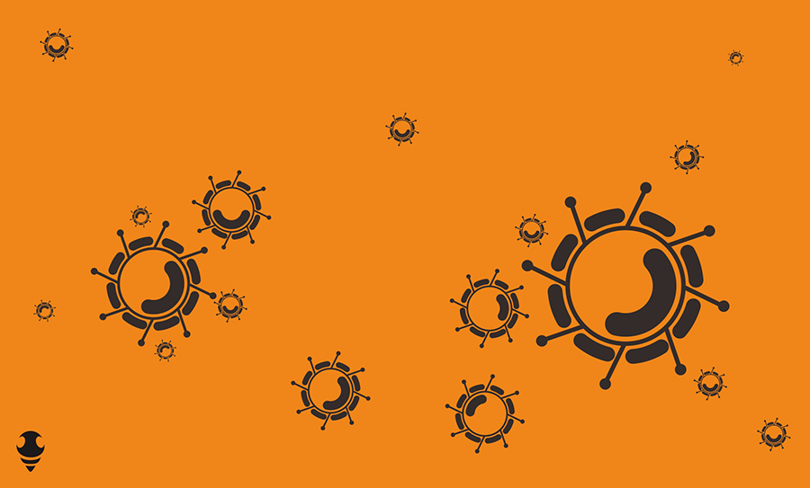 《万物生菌》一组原创插图设计