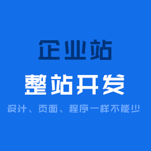 企业型宣传展示网站开发