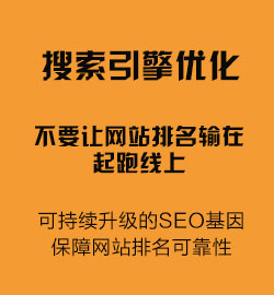 整站SEO优化，帮助企业解决网站营销难题