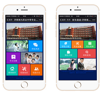 微信营销【定制开发】