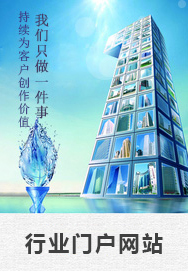 行业门户网站
