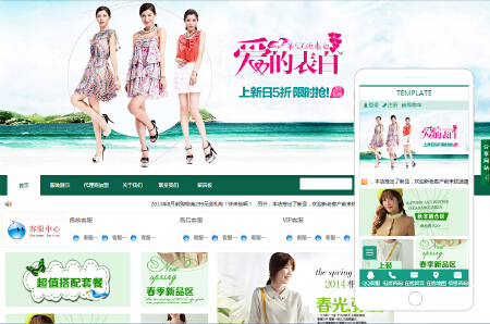 网站开发-标准版